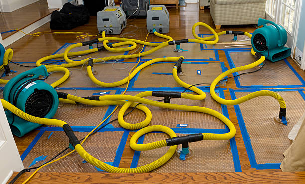 Professional Burst Pipe Water Damage technician working in San Anselmo, CA